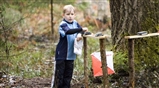 Vårtävlingarna